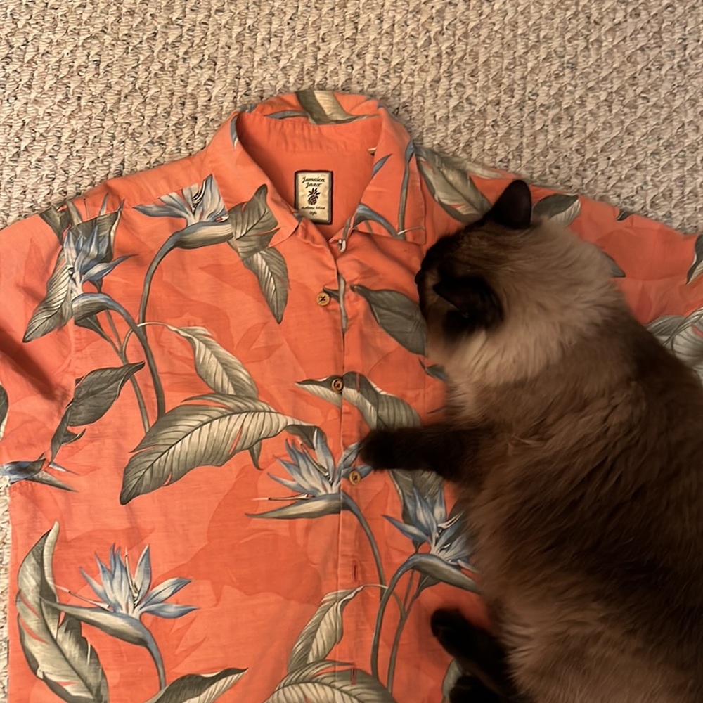 Jamaica jaxx silk shirt - Picture 2 of 6